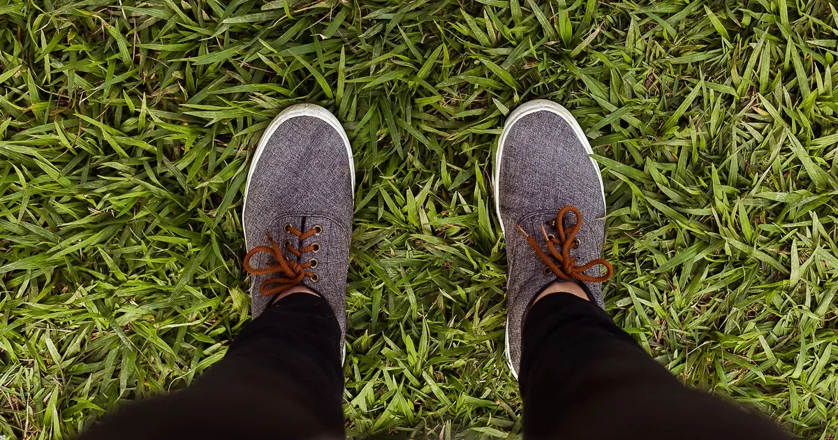 Sürdürülebilir ve Bilinçli Sneaker Tercihleri