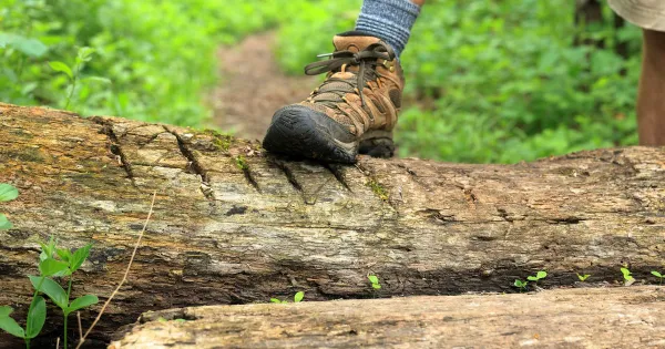 Yürüyüş (Trekking) Ayakkabısı ve Bot Farkı