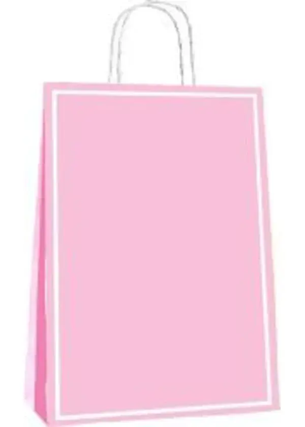 Pembe Makaron Büküm Saplı Kağıt Çanta 25x31cm 25ad.
