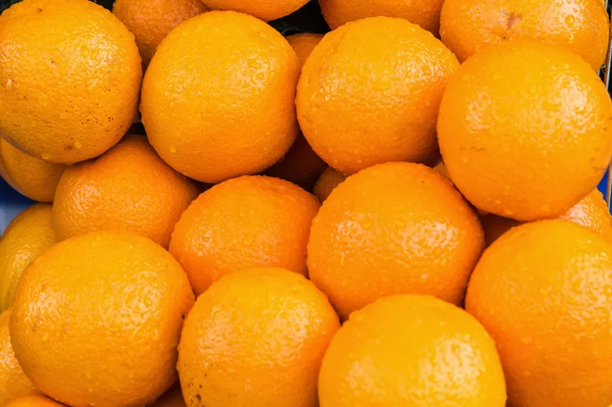 C Vitamini Formları: Askorbik Asit, Ester-C ve Kuşburnu Ekstresi