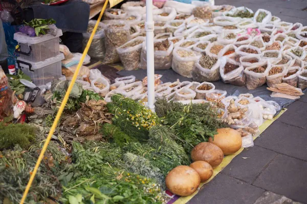 Ginseng Çeşitleri: Kore, Amerikan ve Sibirya Ginsengi