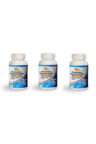 Glucosamine Chondroitin & Msm 180 Tablet 3 Kutu