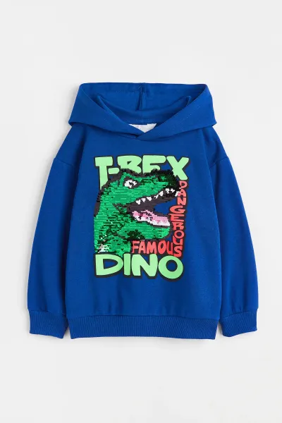Erkek Çocuk Baskılı Kapüşonlu Sweatshirt
