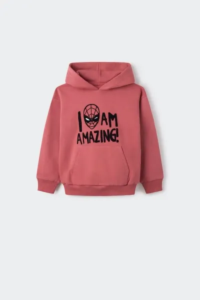 Erkek Çocuk Baskılı Kapüşonlu Sweatshirt