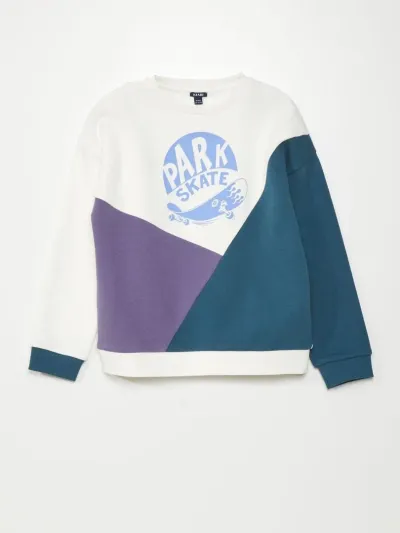 Erkek Çocuk Blok Renkli Sweatshirt