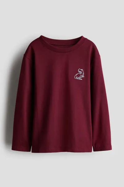 Erkek Çocuk Dinozor Nakışlı T-Shirt