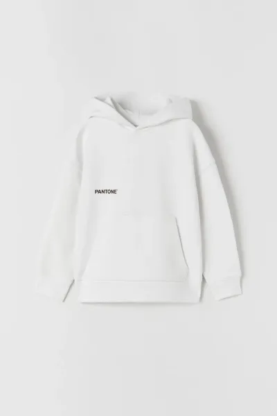 Erkek Çocuk Kapüşonlu Sweatshirt
