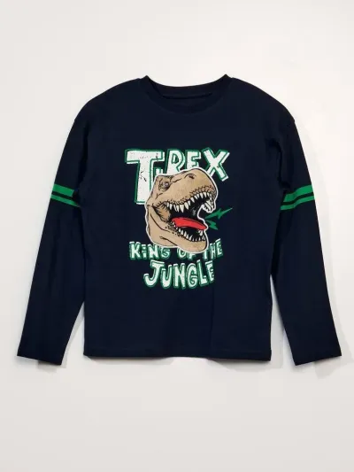 Erkek Çocuk Trex Baskılı İnce Uzun Kollu T-Shirt