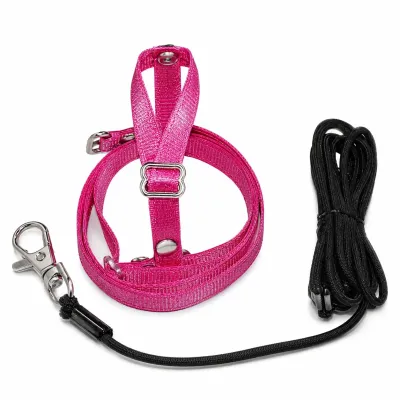 Forpus Papağanı Tasması – Elastik Uçuş Takımı, Pembe
