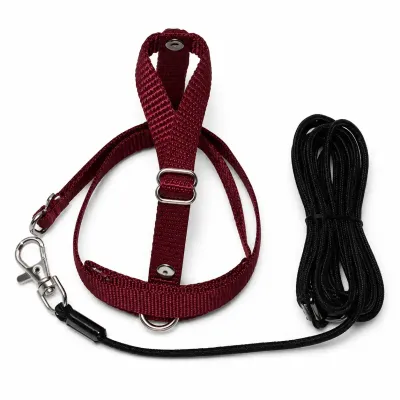 Jako Papağan Tasması – Bordo Uçuş ve Gezdirme Takımı