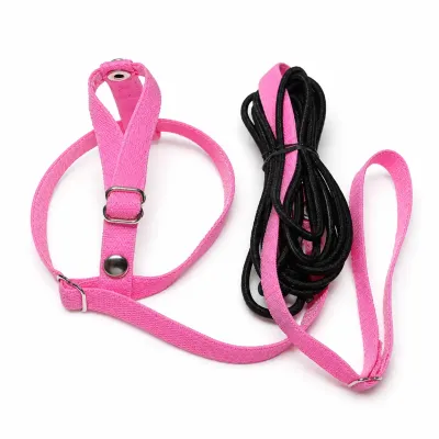 Jumbo Muhabbet Kuşu Tasması – Uçuş Takımı, Pembe
