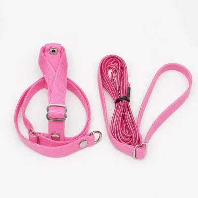 Sultan ve Cennet Papağanı Tasması – Elastik Takım, Pembe