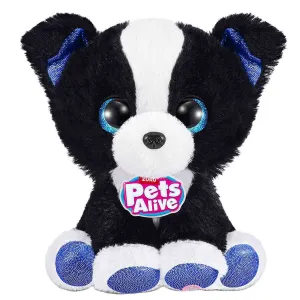 PETS ALİVE SURPRİZ HASTA KÖPEĞİM-9540