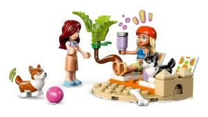 Lego Friends Sörfçü Köpekler ve Scooter
