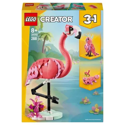 Vahşi Hayvanlar: Pembe Flamingo