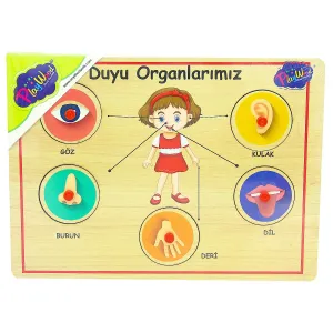 AHŞAP TUTMALI ORGANLAR