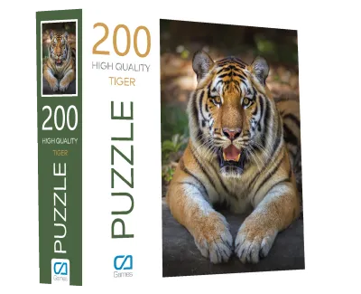 KAPLAN PUZZLE 200