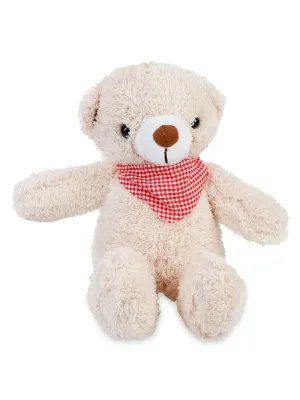 35 CM FULARLI FAVORİ AYI