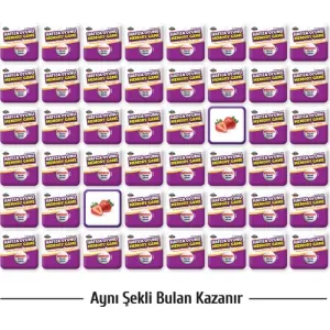 HAFIZA OYUNU MEYVELER