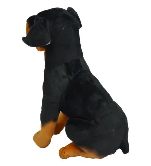 43 CM KÖPEK