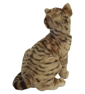 43 CM KEDİ