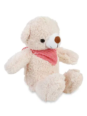 35 CM FULARLI FAVORİ AYI