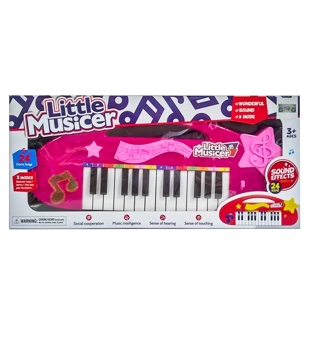 24 KEYS ELECRONİC ORGAN