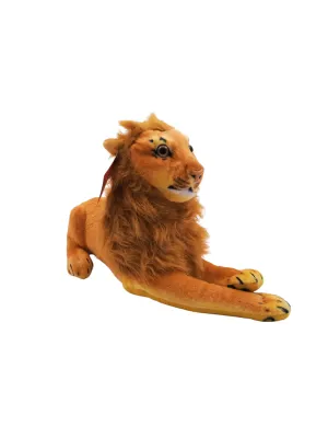 45 CM ASLAN