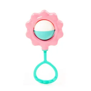 Çıngırak Menekşe (Blister)