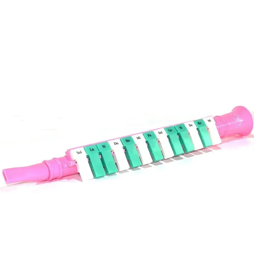 13 TUŞLU MELODİKA