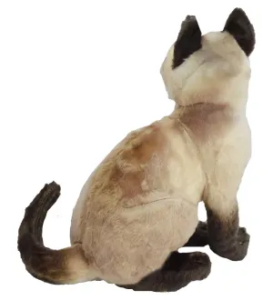 43 CM KEDİ