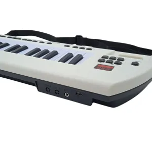 37 TUŞ PİLLİ USB KABLOLU MİKROFONLU PİANO