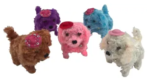 YÜRÜYEN KÖPEK ŞAPKALI