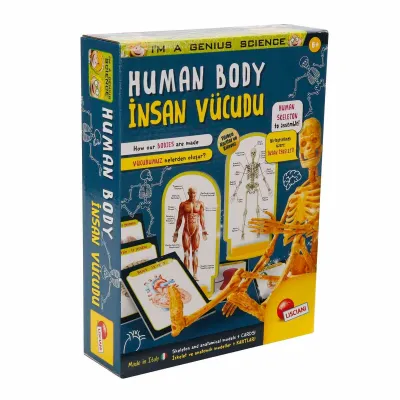 - SUN-LIS-BİLİM SET İNSAN VÜCUDU 8008324095704