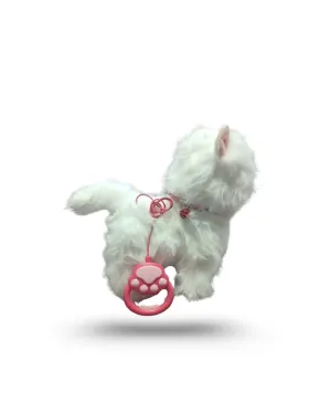 PİLLİ KUMANDALI KEDİ