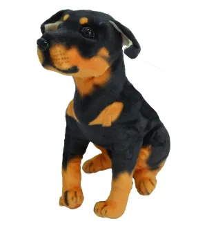 43 CM KÖPEK