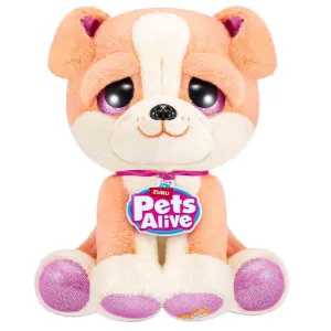 PETS ALİVE SURPRİZ HASTA KÖPEĞİM-9540