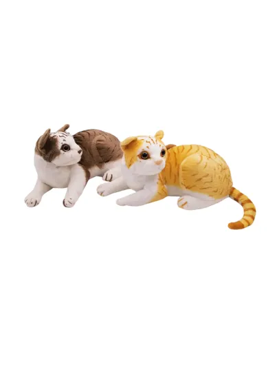 YATAN PELUŞ KEDİ
