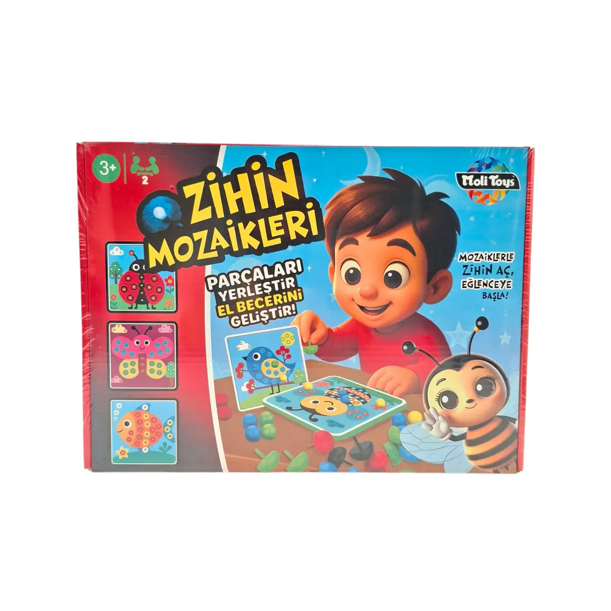 ZİHİN MOZAİKLERİ
