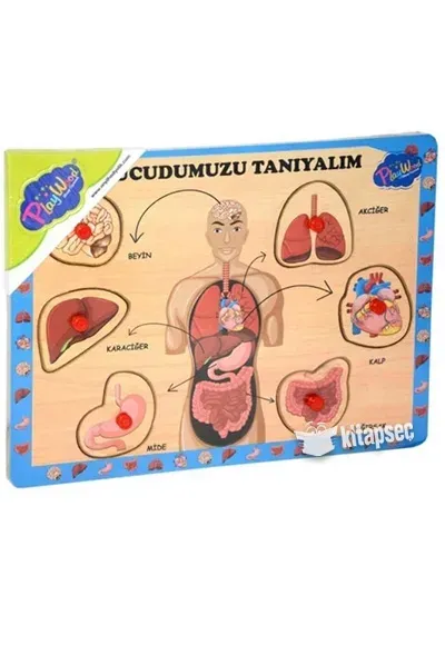 AHŞAP TUTMALI VÜCUDUMUZU TANIYALIM