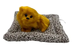 MİNDER ÜZERİNDE UYUCAN KÇK KÖPEK