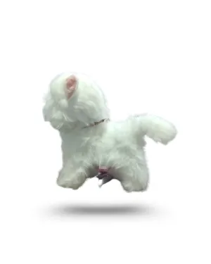 PİLLİ KUMANDALI KEDİ