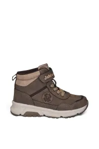 Kahverengi Vizon