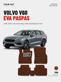 Taba