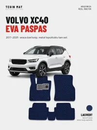 Lacivert