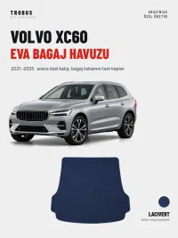 Lacivert