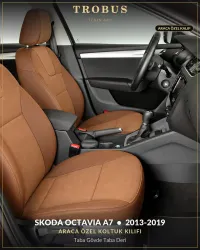 Taba Gövde Taba Deri