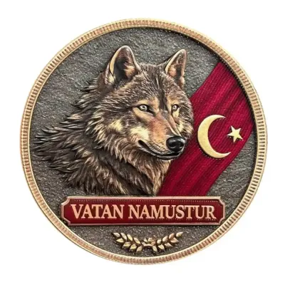 3D Vatan Namustur Bozkurt Patch