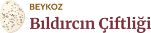 Beykoz Bıldırcın Çiftliği