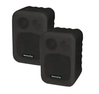 WM-305TB WESTA İKİLİ 100W HOPARLÖR
